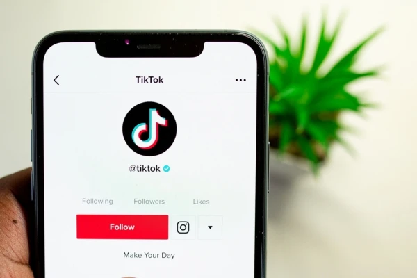 Estrategias de TikTok (2) Estrategias de TikTok (2)